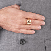 Arc Star Signet Ring - Yellow Gold Vermeil