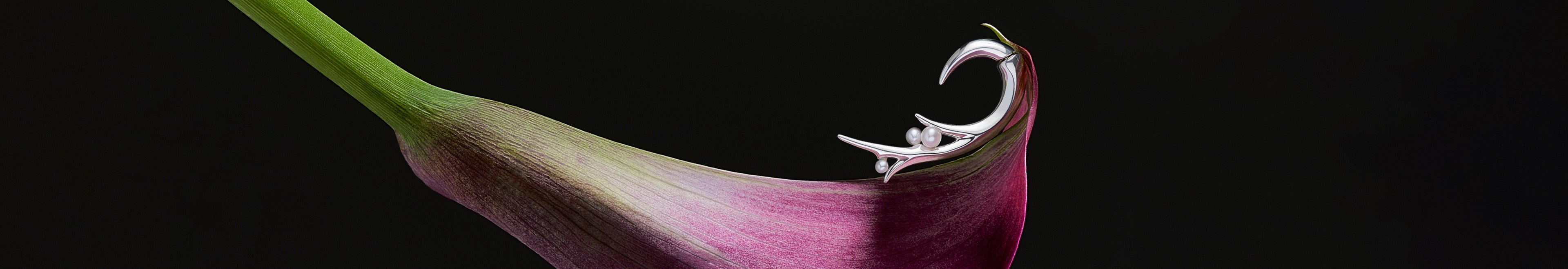 Pearl Jewellery