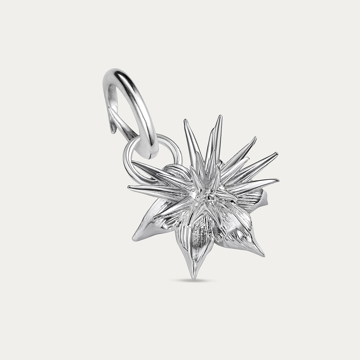 Curiosities Desert Flower Charm