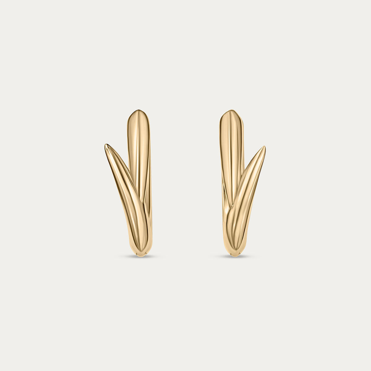 Curiosities Small Hoop Earrings