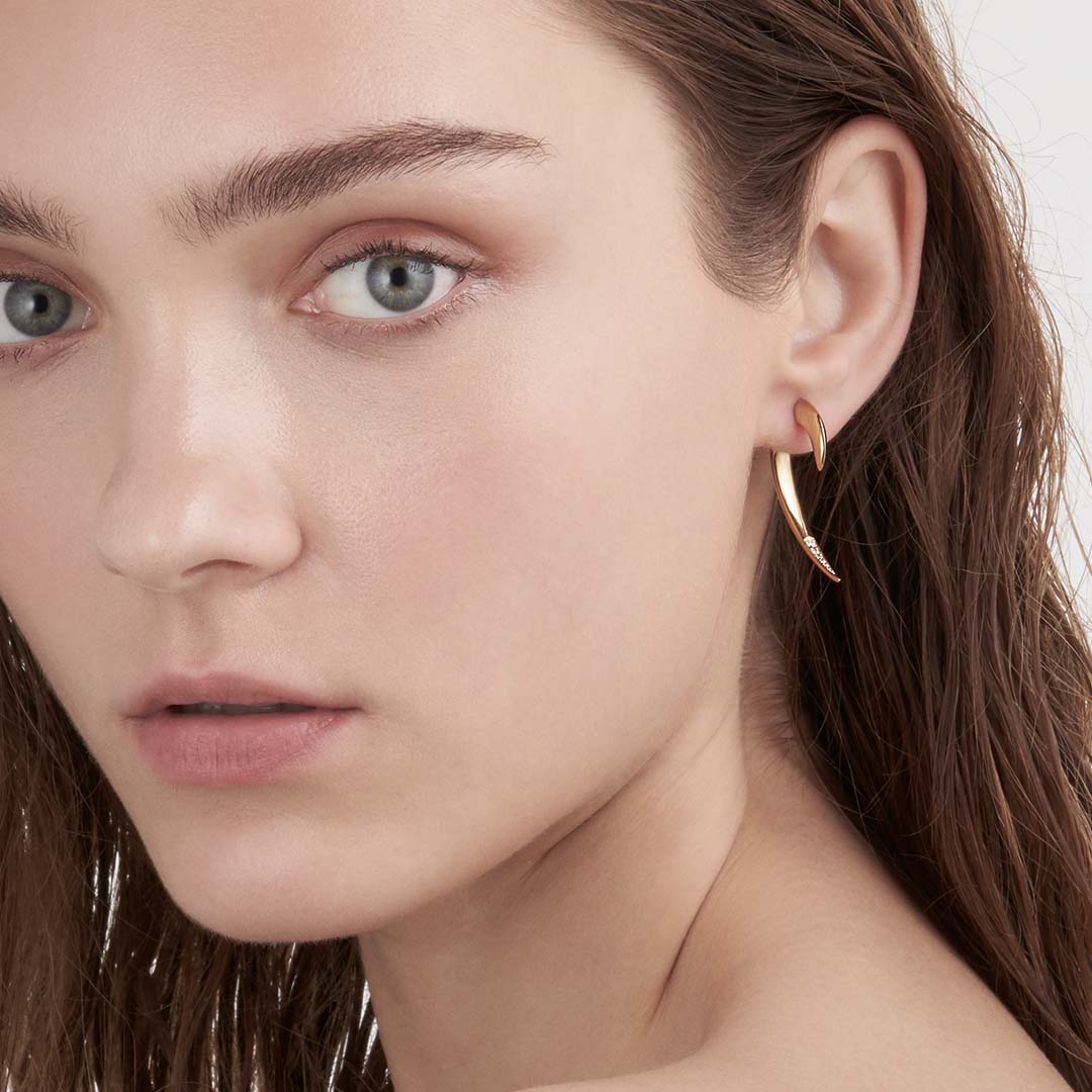 Hook Earrings, Diamond