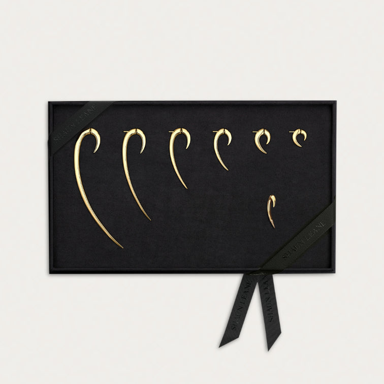 Hook Earrings Box Set