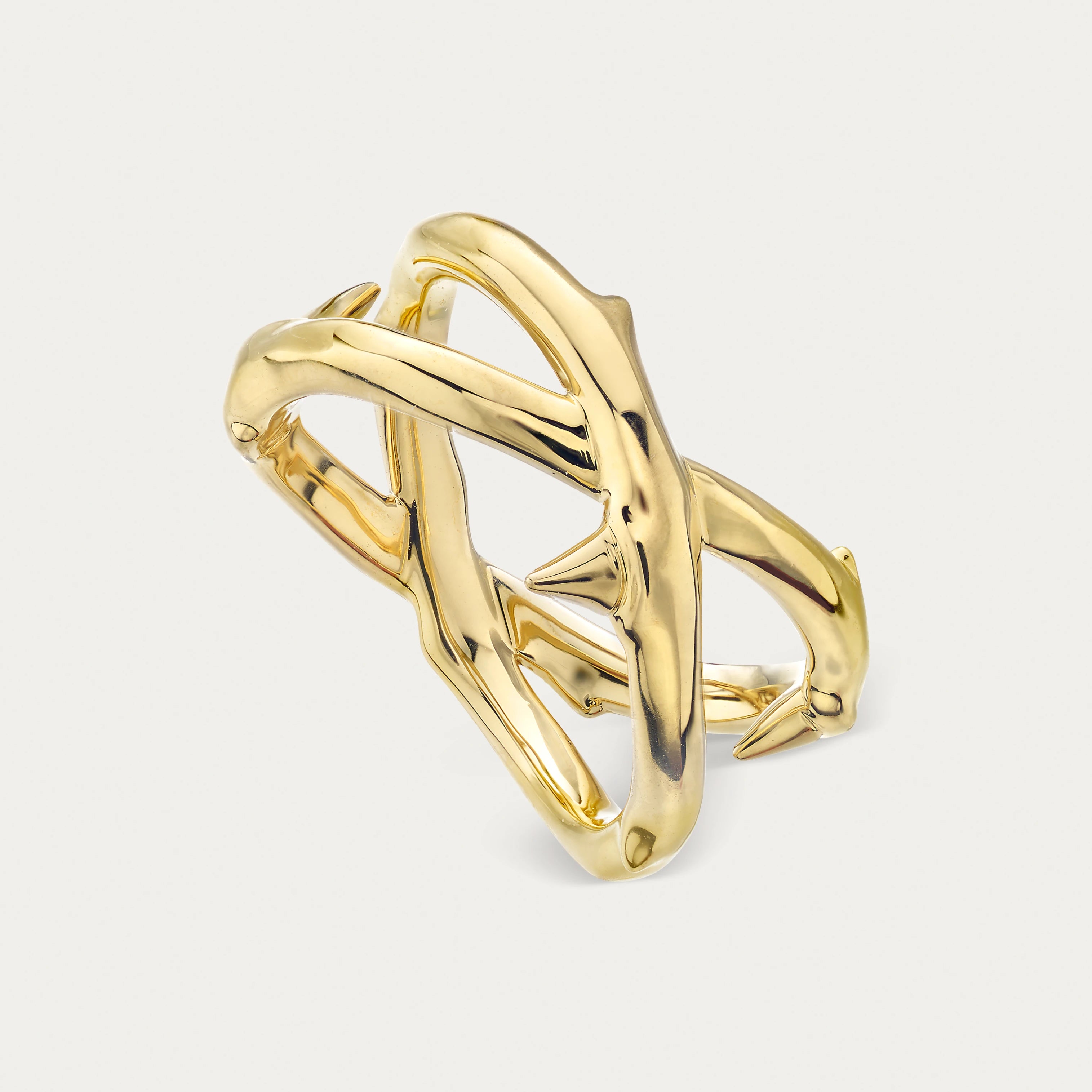 Rose Thorn Double Band Ring