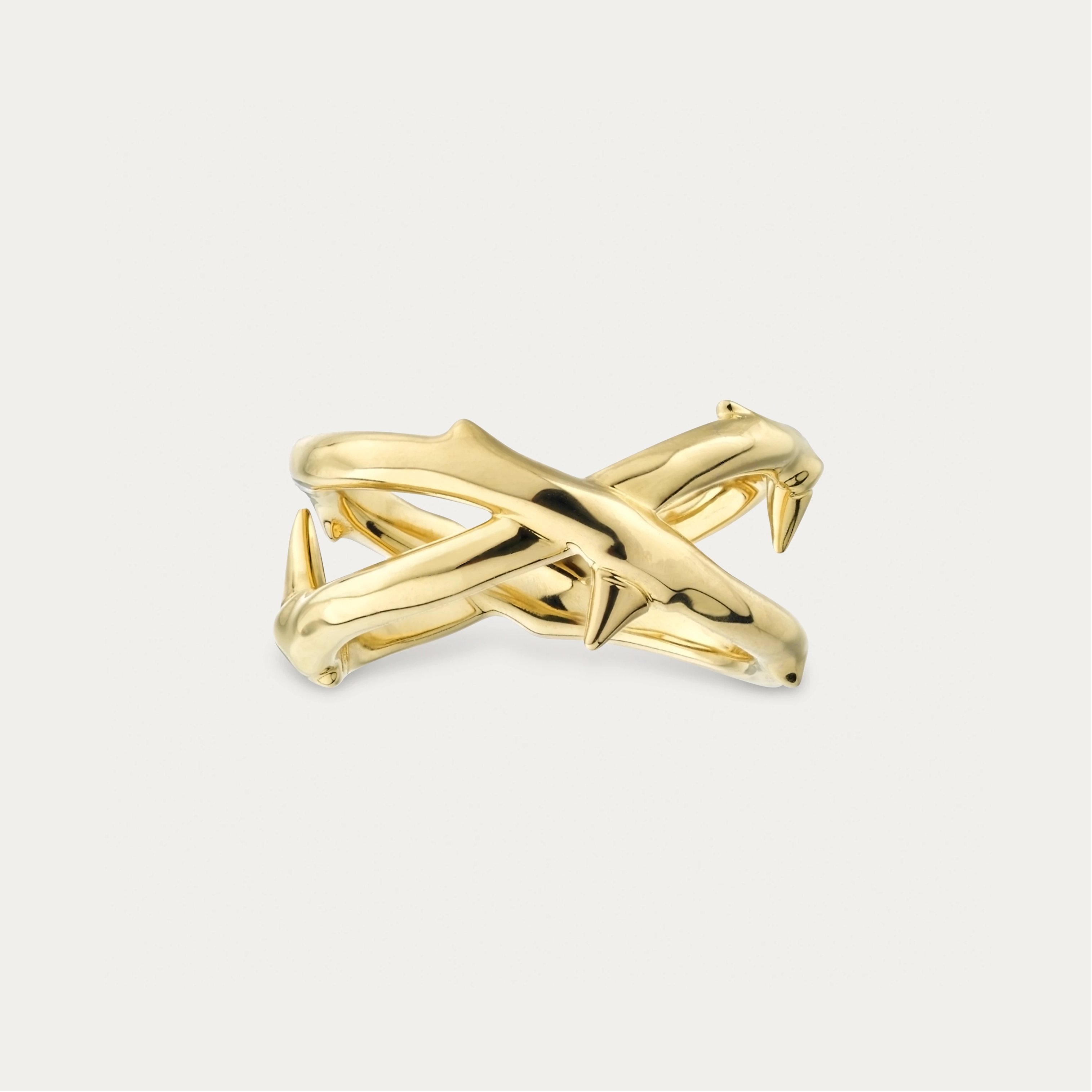 Rose Thorn Double Band Ring