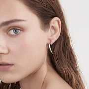 Hook Earrings - Silver & Diamond